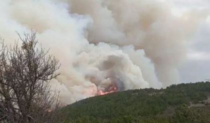 Kütahya'nın Gediz ilçesinde orman yangını