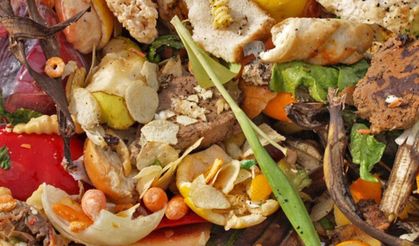 Gelir düzeyi arttıkça gıda ürünlerini çöpe atarak israf etme sıklığı arttı