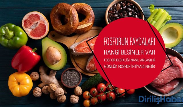 Fosforun Faydaları Nelerdir? Hangi Besinlerde Bulunur?