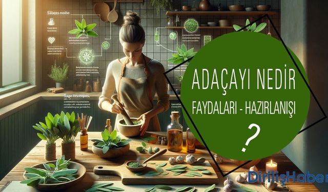 Adaçayı Nedir? Faydaları Nelerdir? Nasıl Hazırlanır?