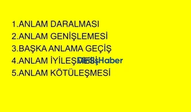 Anlam Daralması Nedir? Örnekli Gösterim!