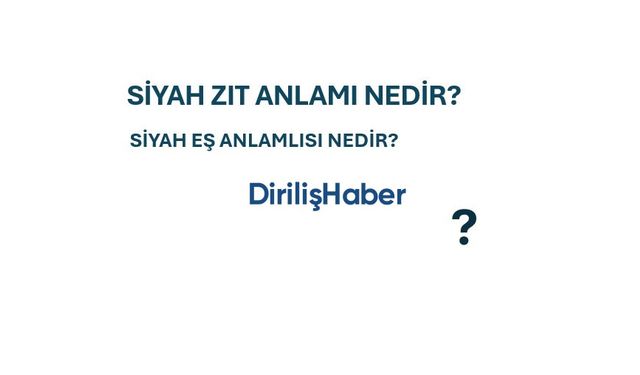 Siyah Zıt Anlamı Nedir?