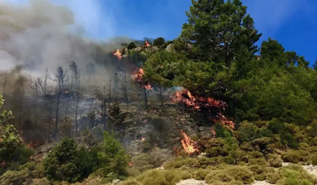 Antalya’da orman yangınına müdahale sürüyor