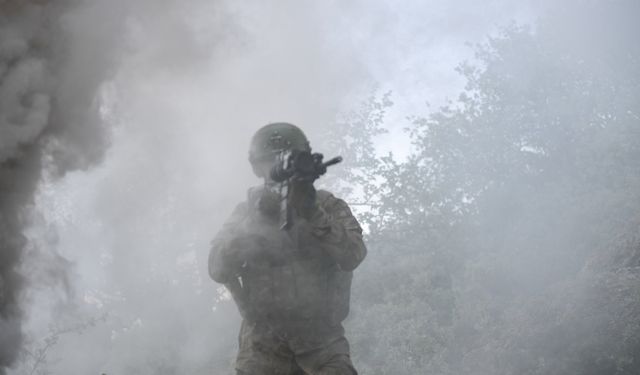 Barış Pınarı bölgesinde 2 PKK'lı öldürüldü