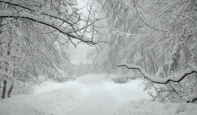 Batı Karadeniz'in kıyı kesimleri için "kuvvetli" kar uyarısı