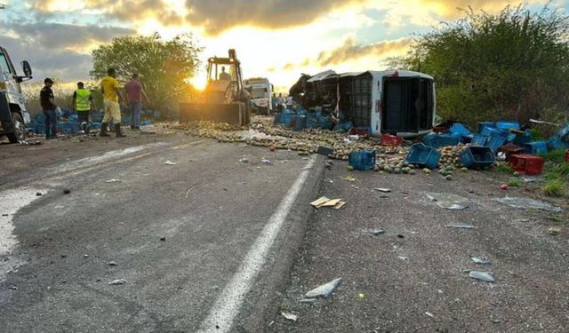 Brezilya'da otobüsle kamyon çarpıştı: 12 öğrenci öldü