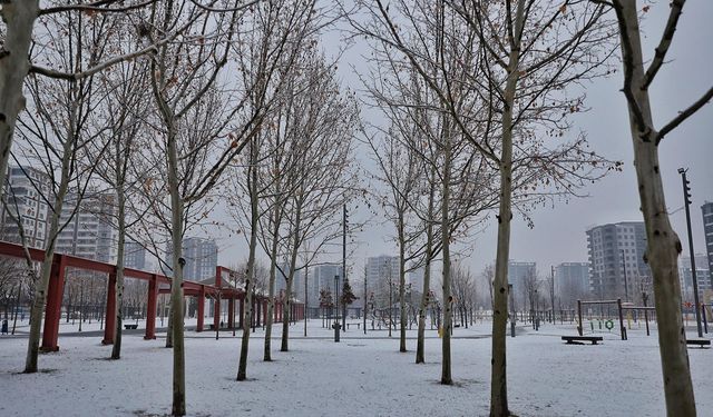 Diyarbakır’da aylar sonra gelen kar yağışı ve soğuk hava etkili oluyor