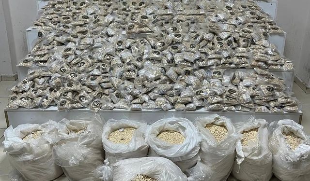 Habur'da 370 kilogram uyuşturucu ele geçirildi