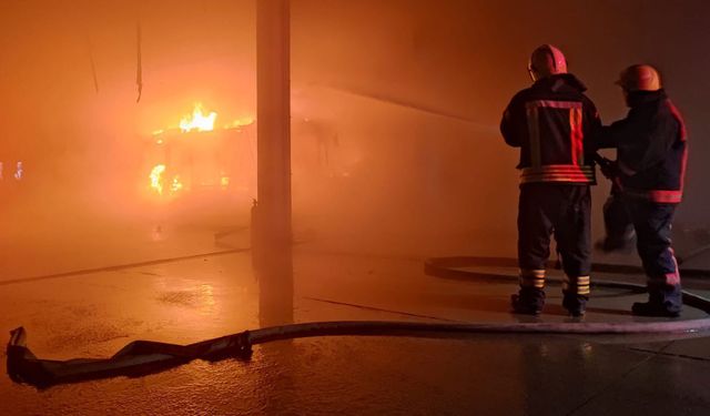 Manisa'da fabrika yangını