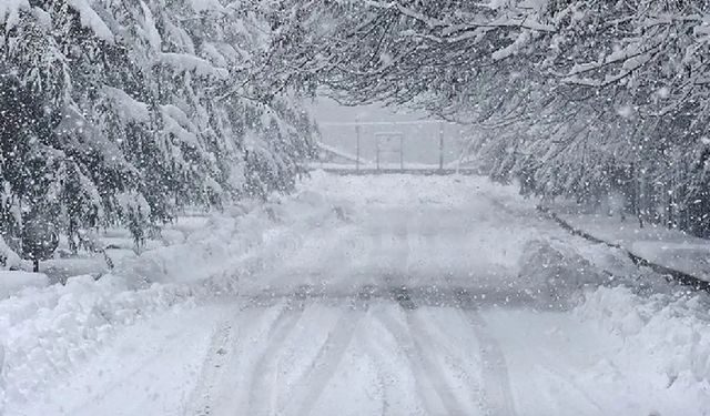 Meteorolojiden 2 kente "yoğun kar" uyarısı