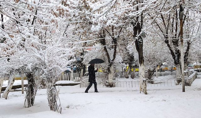 Meteoroloji'den 3 il için "sarı" kodlu kar uyarısı