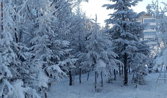 Meteoroloji'den 4 il için kuvvetli kar yağışı uyarısı