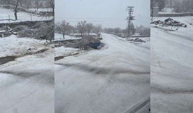 Şanlıurfa'da kar yağışı etkili oldu