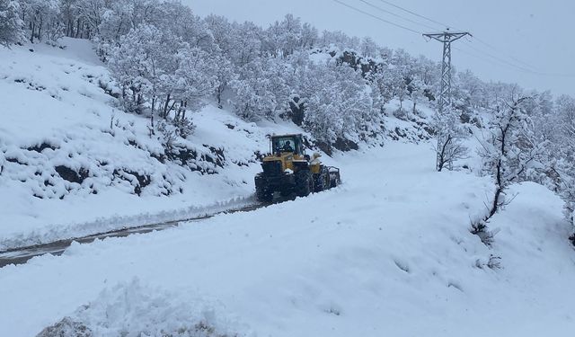 Şırnak'ta yoğun kar yağışı sonrası kapanan köy yolları ulaşıma açıldı