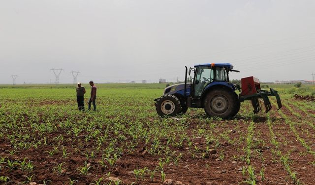 tarımsal destekleme ödemeleri çiftçilerin hesabına yatırılıyor