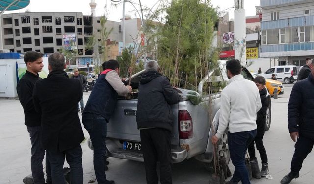 Cizre'de vatandaşlara fidan dağıtıldı