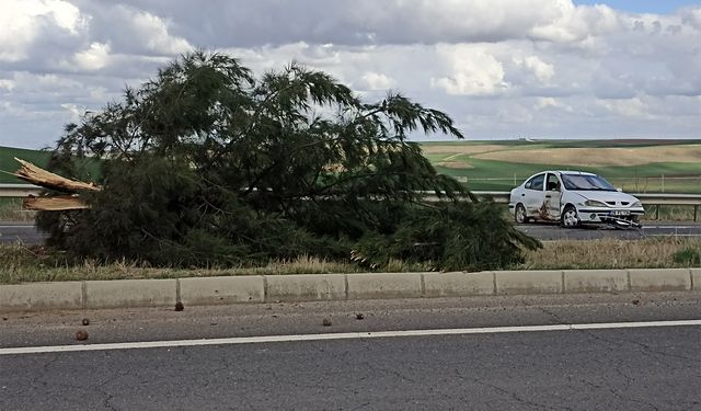 Diyarbakır'da maddi hasarlı trafik kazısı