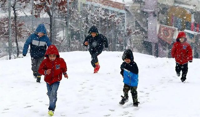 Kar yağışı nedeniyle bazı illerde eğitime ara verildi