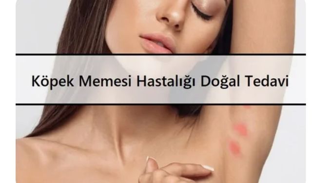 Köpek Memesi Hastalığı nasıl geçer❓