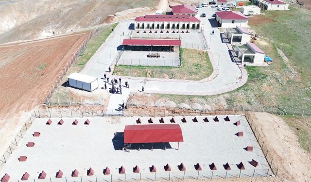 Siirt'te sokak hayvanları bakım ve rehabilitasyon merkezi kapasitesi iki katına çıkarılıyor