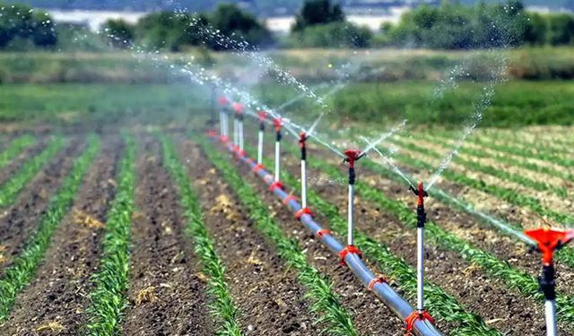 Tarımsal destekleme ödemeleri çiftçilerin hesaplarına aktarılıyor