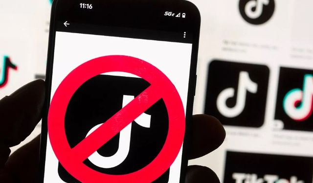 TikTok, Arnavutluk'ta resmen erişime kapatılıyor