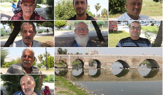 Adanalılar sinek sorunu nedeniyle tepkili: Belediyenin ilaçlama çalışmaları yetersiz