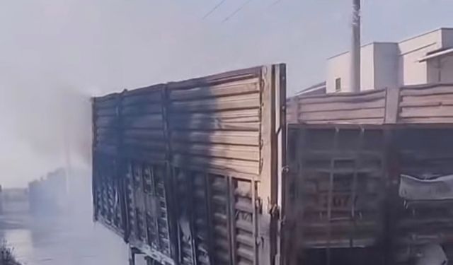 Adana'nın Ceyhan ilçesinde iki dorsede yangın çıktı