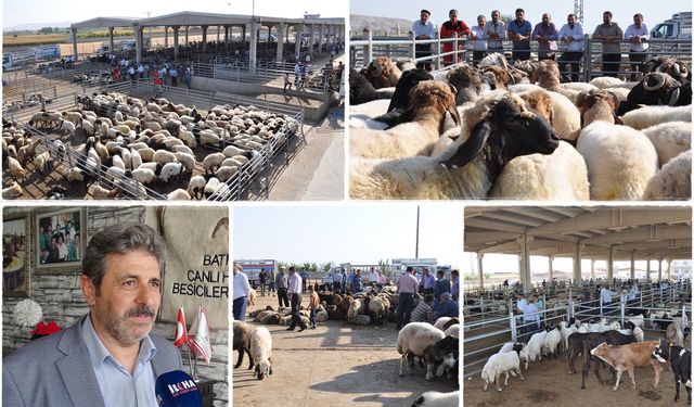 Besicilerden bayram öncesi açıklama: Kurbanlık sıkıntısı yok