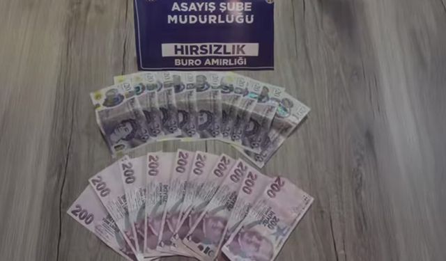 Bingöl'de hırsızlık zanlısı yakalandı