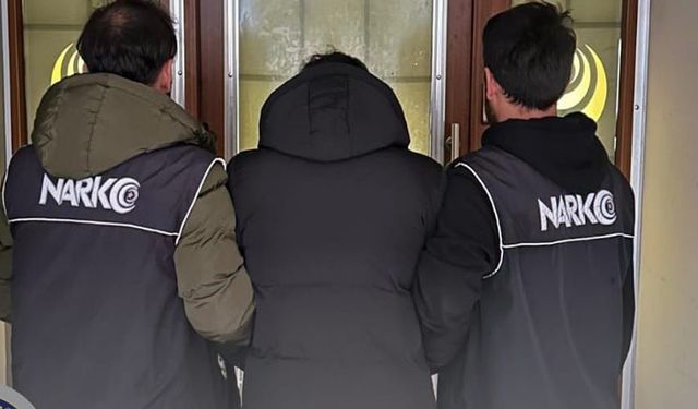 Bingöl'de kesinleşmiş hapis cezası bulunan şahıs yakalandı