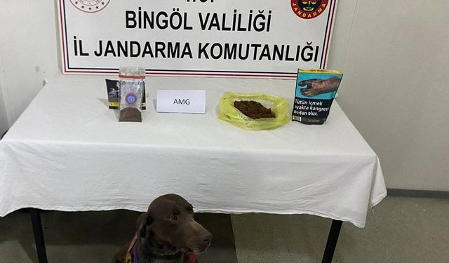 Bingöl'de yolcu otobüsünde uyuşturucu ele geçirildi