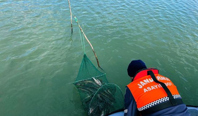 Bursa'da kaçak avcılık operasyonunda 30 kişi gözaltına alındı