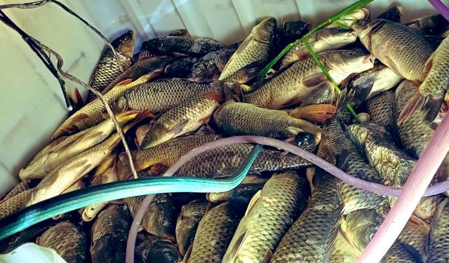 Bursa'da kaçak avcılık operasyonunda 4 kişiye 67 bin TL ceza kesildi