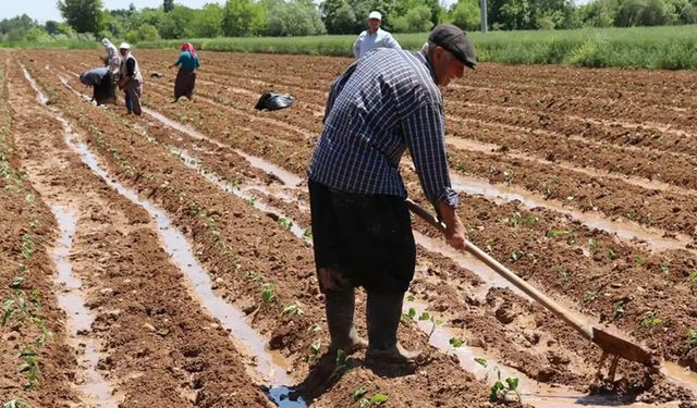 Çiftçilere destekleme ödemeleri başladı