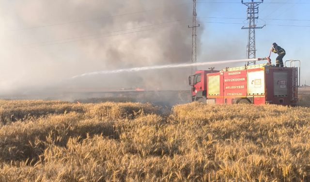 Çıkan yangında 155 dönüm ekili alan zarar gördü 