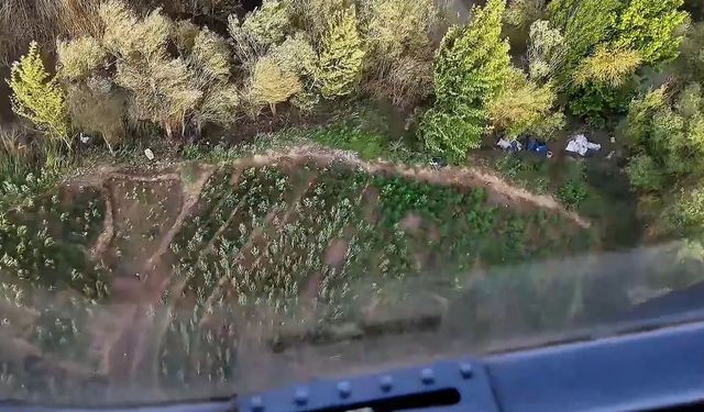 Diyarbakır'da yaklaşık bir buçuk milyon kenevir ve skunk ele geçirildi