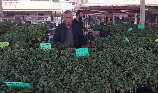 Don felaketinden sonra sebze fidelerine talep arttı