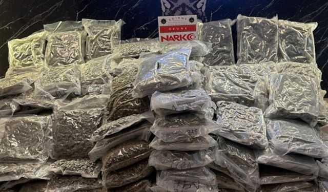 Hamzabeyli Sınır Kapısı’nda 115 kilogram uyuşturucu ele geçirildi: 2 tutuklama