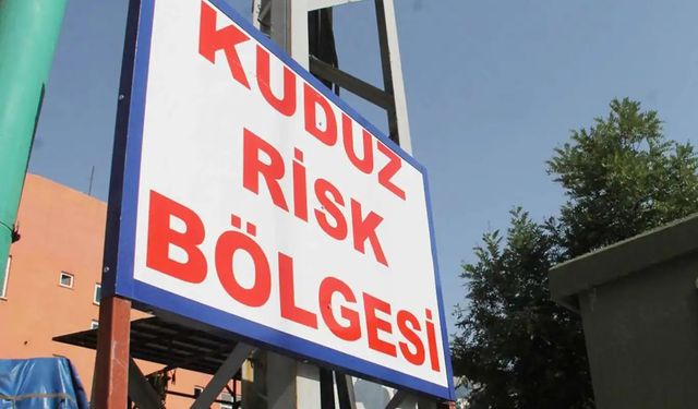 Hatay'da kuduz karantinası 
