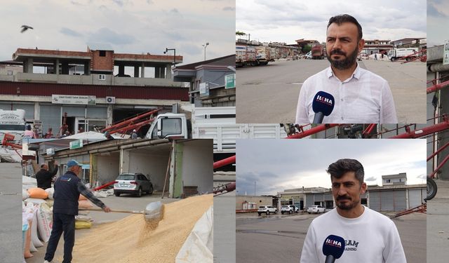 Hububatçılar sezonu bekliyor, gözler taban fiyatında