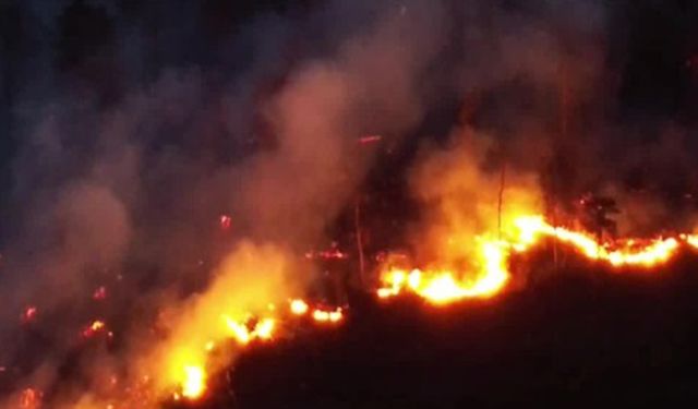 İzmir'de orman yangını
