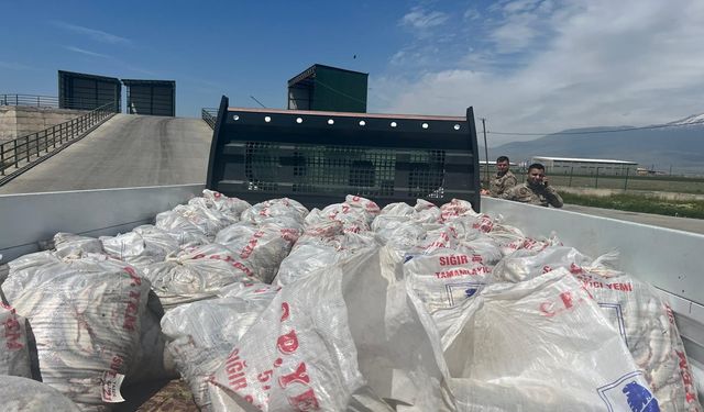 Kaçak yollar ile taşınan 2 ton inci kefali Ağrı'da ele geçirildi