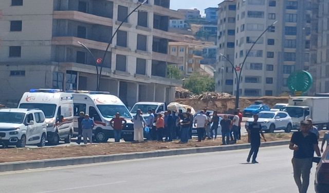 Kamyonet aydınlatma direğine çarptı: 2 yaralı