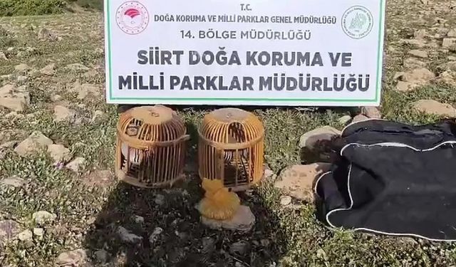Kınalı keklik avlayan şahsa 63 bin lira ceza