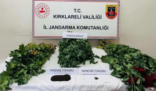 Kırklareli'nde uyuşturucu operasyonu: 8 gözaltı