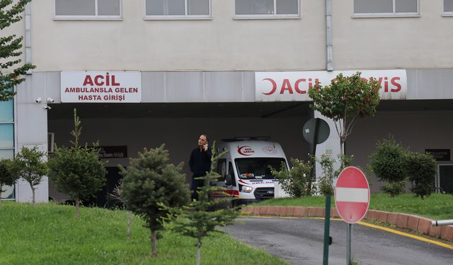 Malatya'da otomobil bahçeye yuvarlandı: 2 yaralı