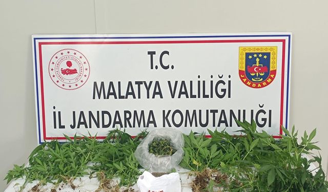 Malatya'da uyuşturucu operasyonu: 3 tutuklama