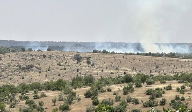 Mardin’de ormanlık alanda yangın çıktı 