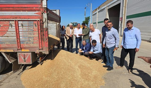 Mardin’de sezonun ilk buğday hasadı yapıldı